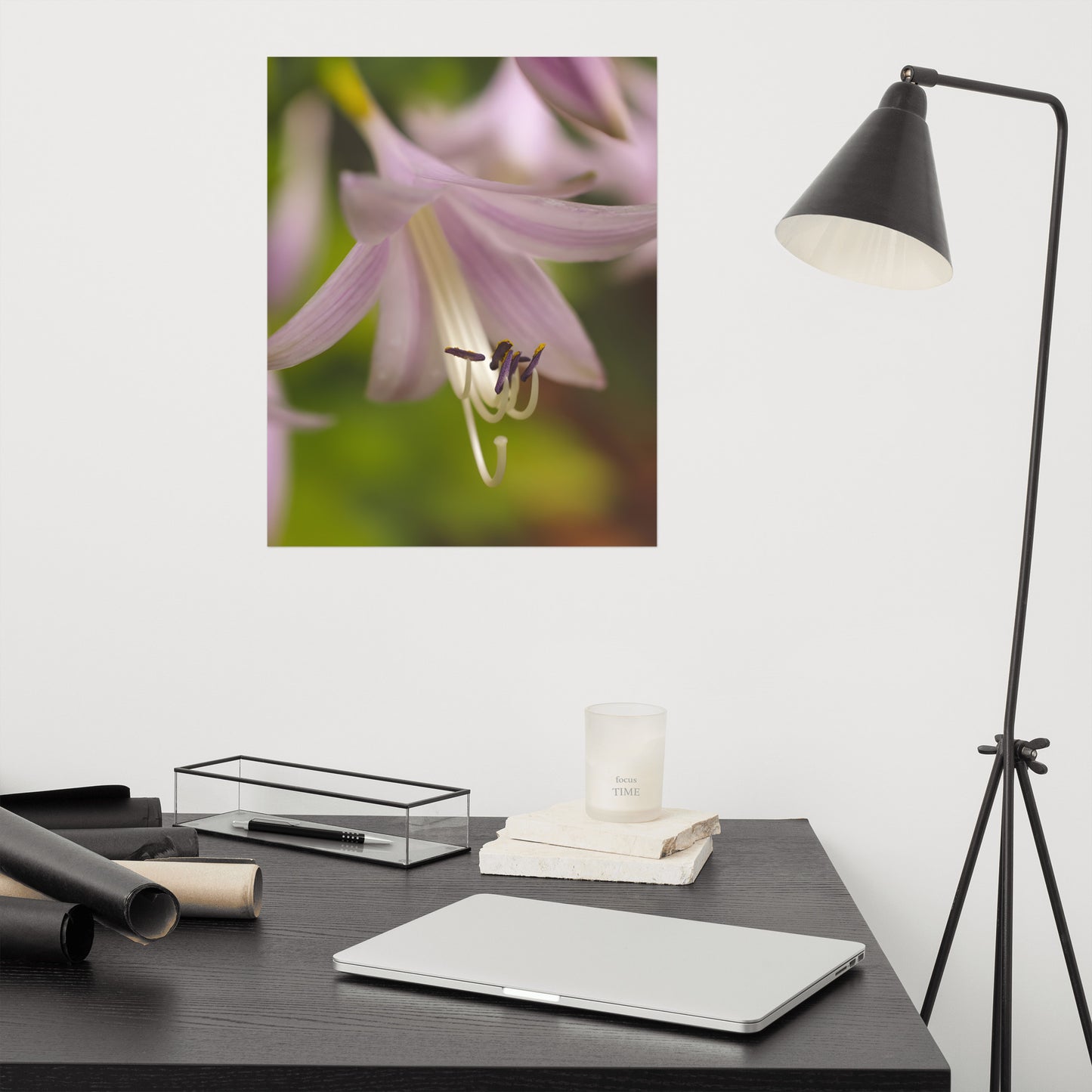 Close-up Hosta Bloom Floral Nature Photo Loose Unframed Wall Art Prints