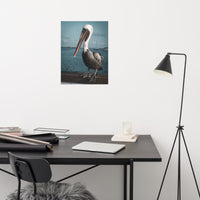 Bob The Pelican 2 Colorized Loose Wall Art Print