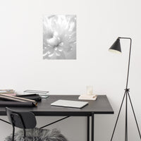 Infrared Flower Black and White Floral Nature Photo Loose Unframed Wall Art Prints