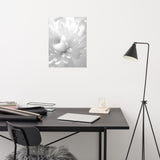 Infrared Flower Black and White Floral Nature Photo Loose Unframed Wall Art Prints