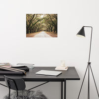 Botanical / Nature Landscape / Cityscape Abstract Decor Live Oaks and Spanish Moss Roadway Savannah Ga Loose Wall Art Print 18" x 24"