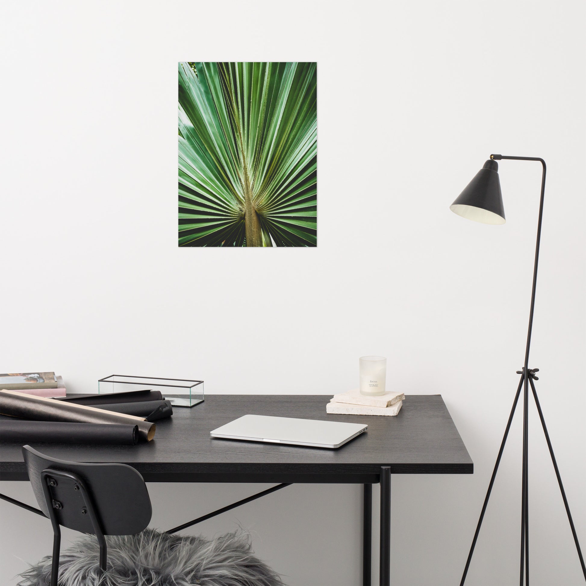 Pediatric Dental Office Wall Decor: Aged and Colorized Wide Palm Leaves 2 - Botanical / Plants / Nature Photograph Loose / Unframed Wall Art Print - Artwork
