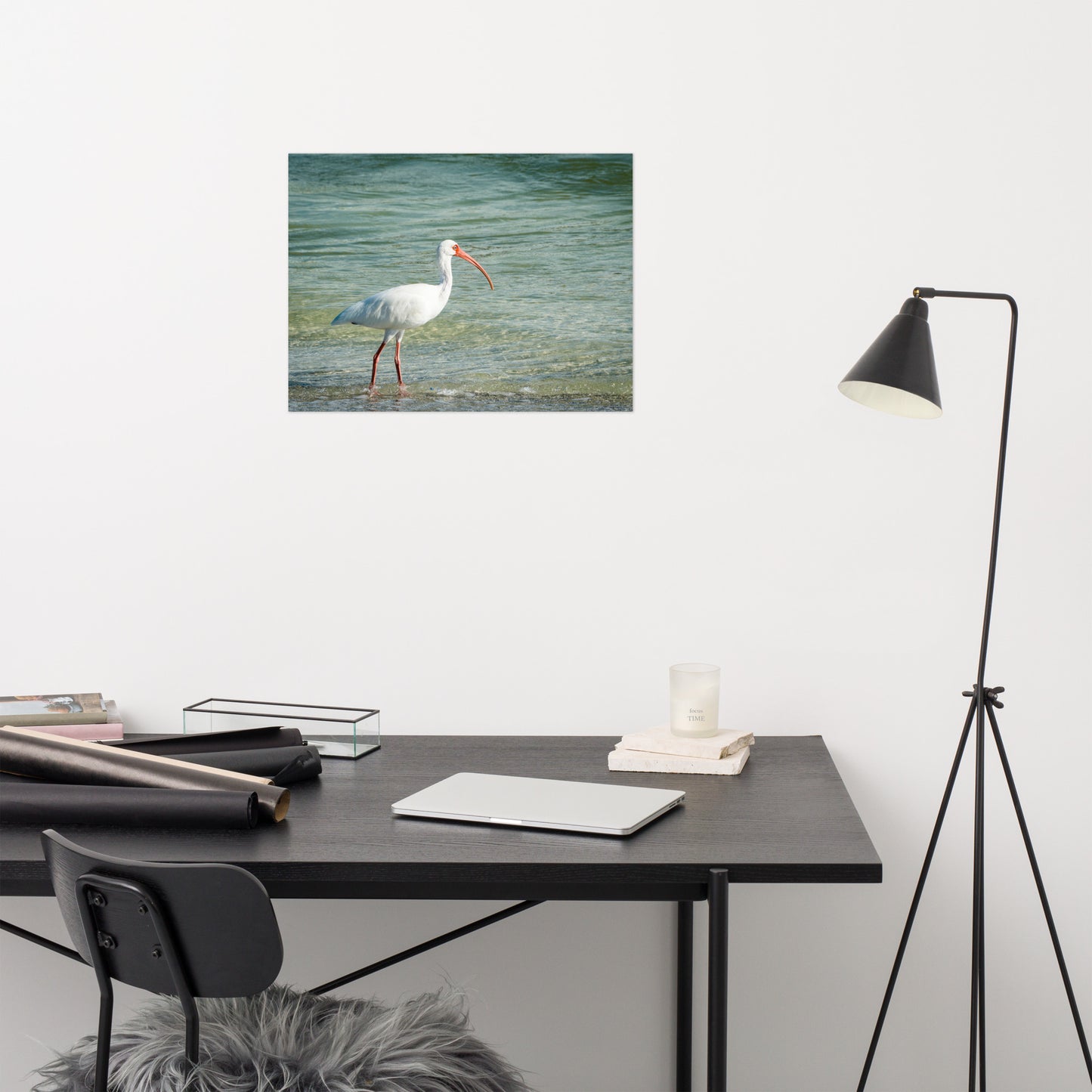 Daydreaming Ibis of the Coast Wildlife Photo Loose Wall Art Print
