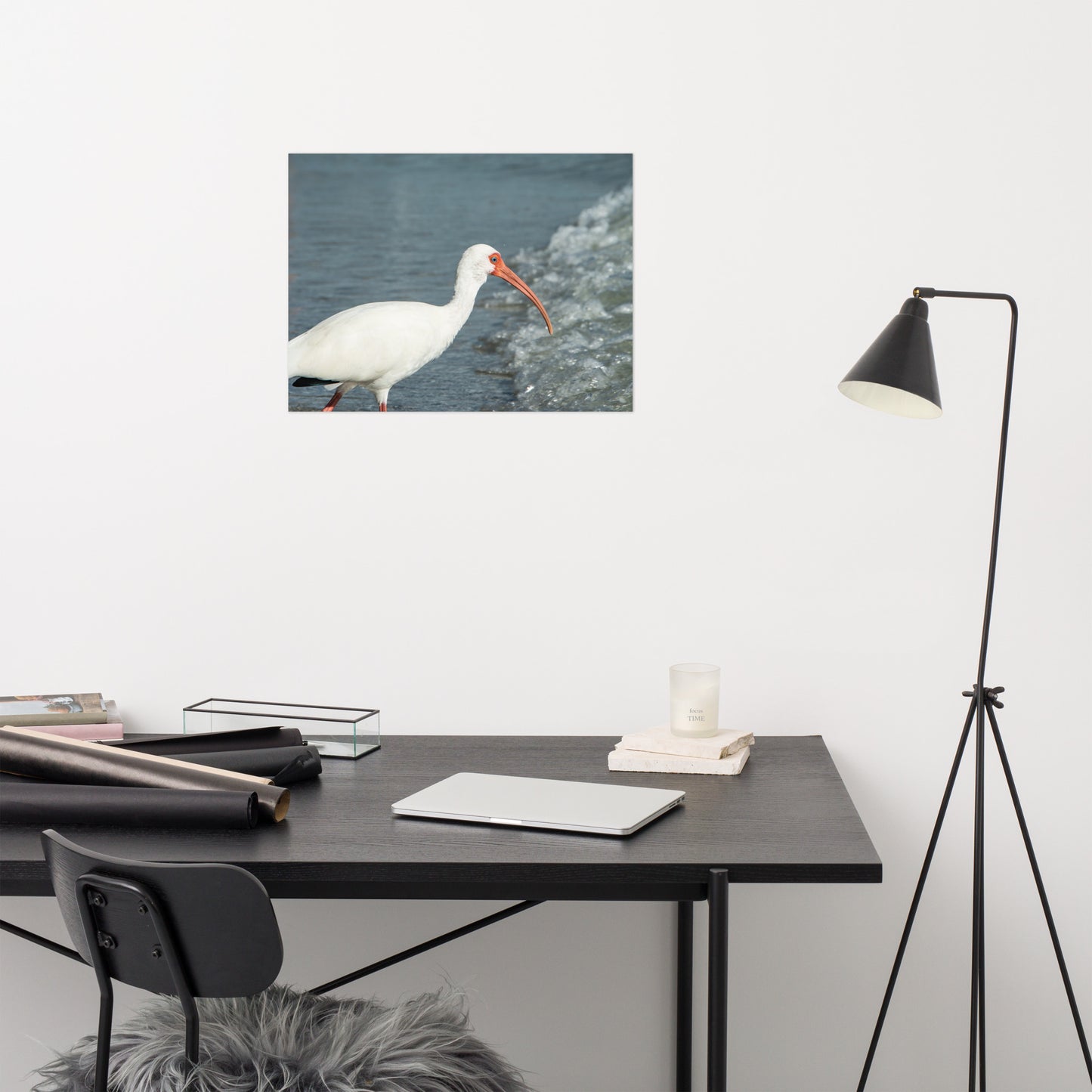 Close Up White Ibis on Beach Wildlife Photo Loose Wall Art Print