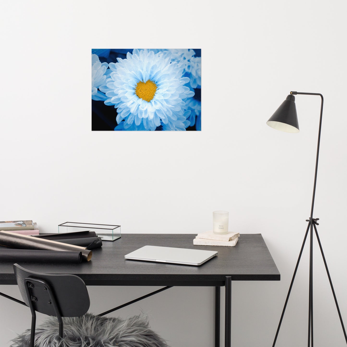 Blue Tinted Chrysanthemums Floral Nature Photo Loose Wall Art Print