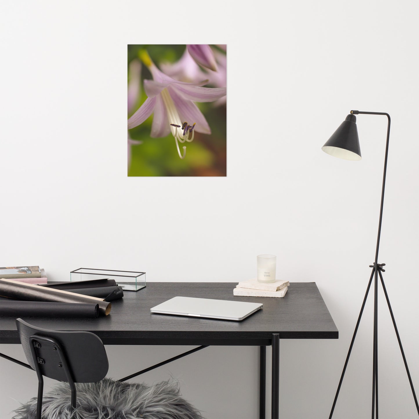 Close-up Hosta Bloom Floral Nature Photo Loose Unframed Wall Art Prints