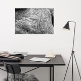 Dead Tree Boneyard Beach Florida Texture Close-up 2 Black and White Rustic Nature Photo - Loose Wall Art Print