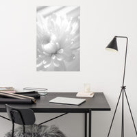 Infrared Flower Black and White Floral Nature Photo Loose Unframed Wall Art Prints