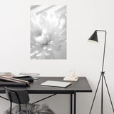 Infrared Flower Black and White Floral Nature Photo Loose Unframed Wall Art Prints
