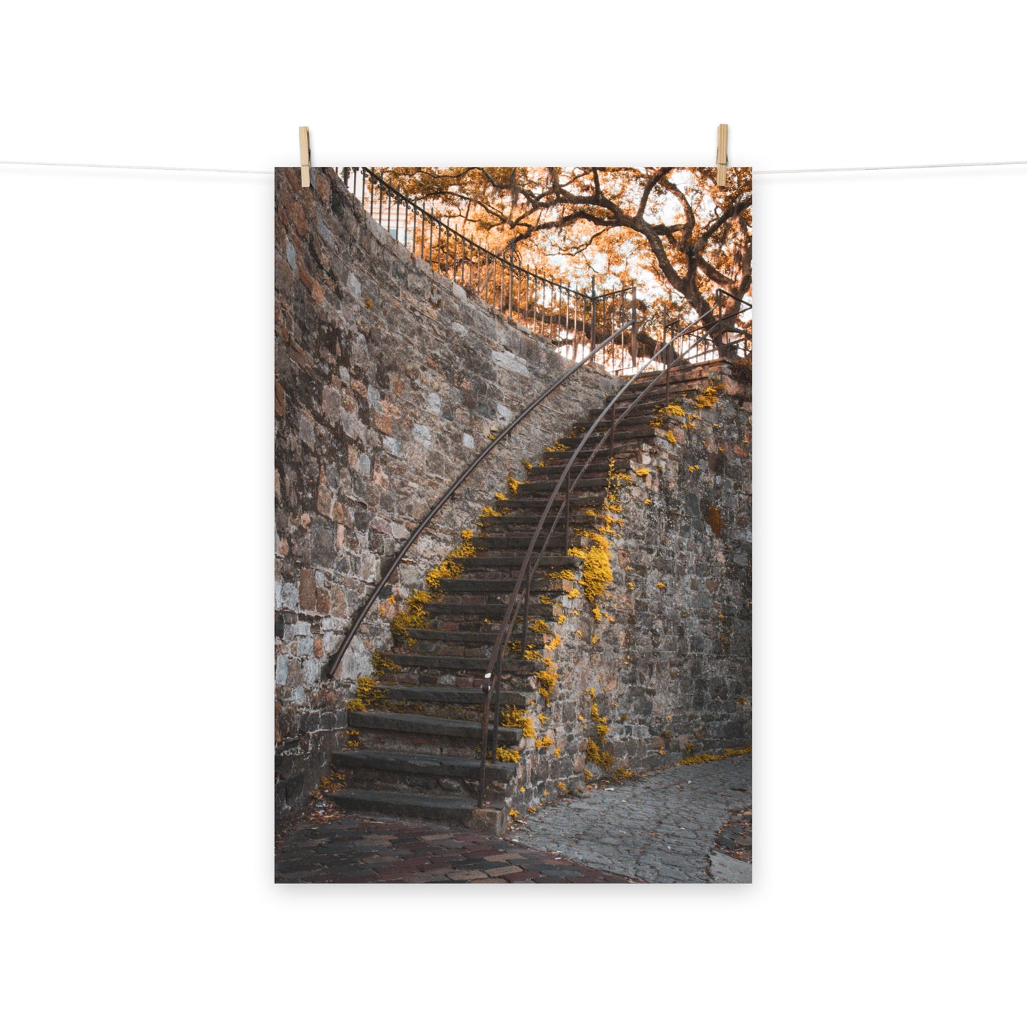 Architectural / Industrial / Cityscape Abstract Decor Old Stone Stairs River Street Savannah Ga Loose Wall Art Print 8" x 10"