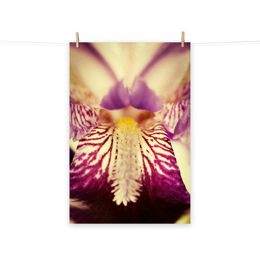 Floral Artwork Prints: Antiqued Iris Floral Nature Photo Loose Unframed Wall Art Prints