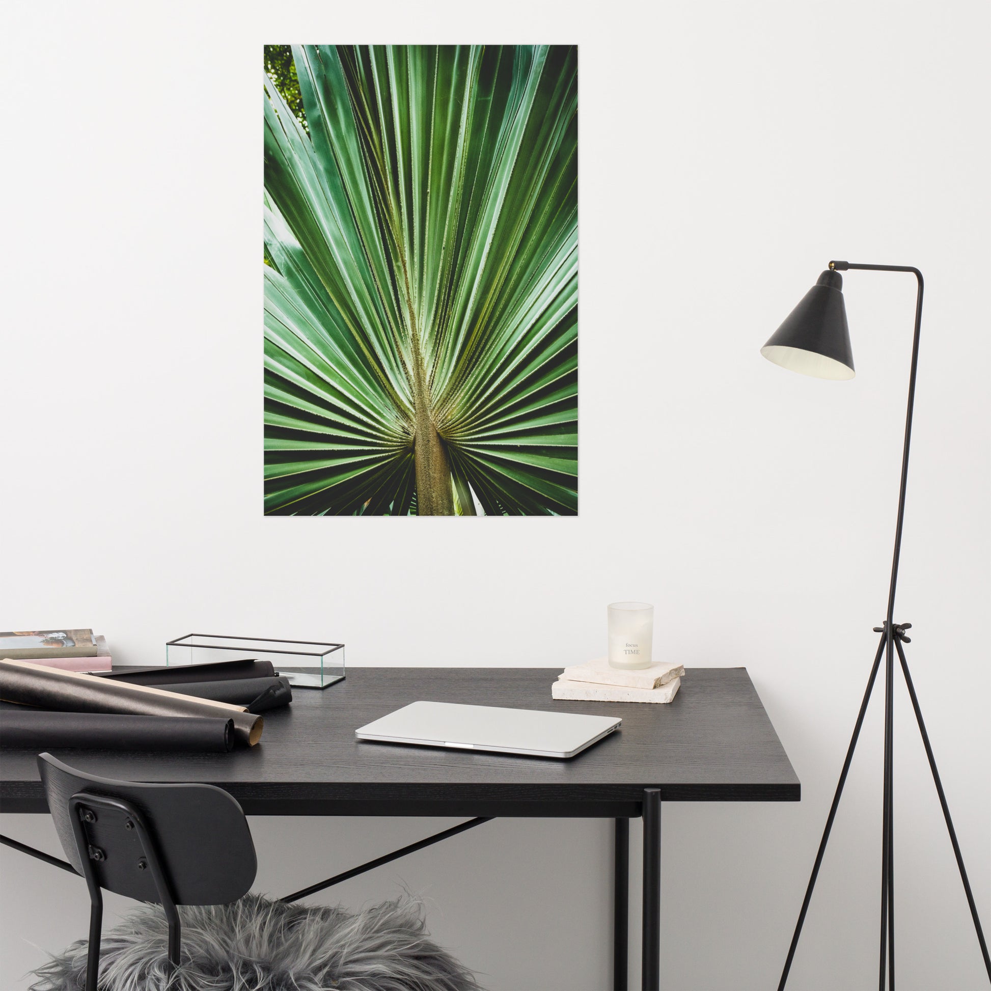 Pediatric Office Wall Art: Aged and Colorized Wide Palm Leaves 2 - Botanical / Plants / Nature Photograph Loose / Unframed Wall Art Print - Artwork