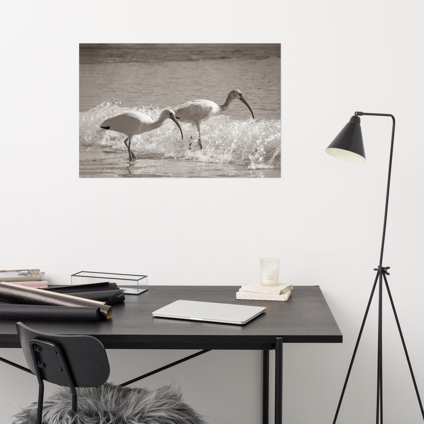 White Ibises on the Shore Sepia Aged Wildlife Photo Loose Wall Art Print