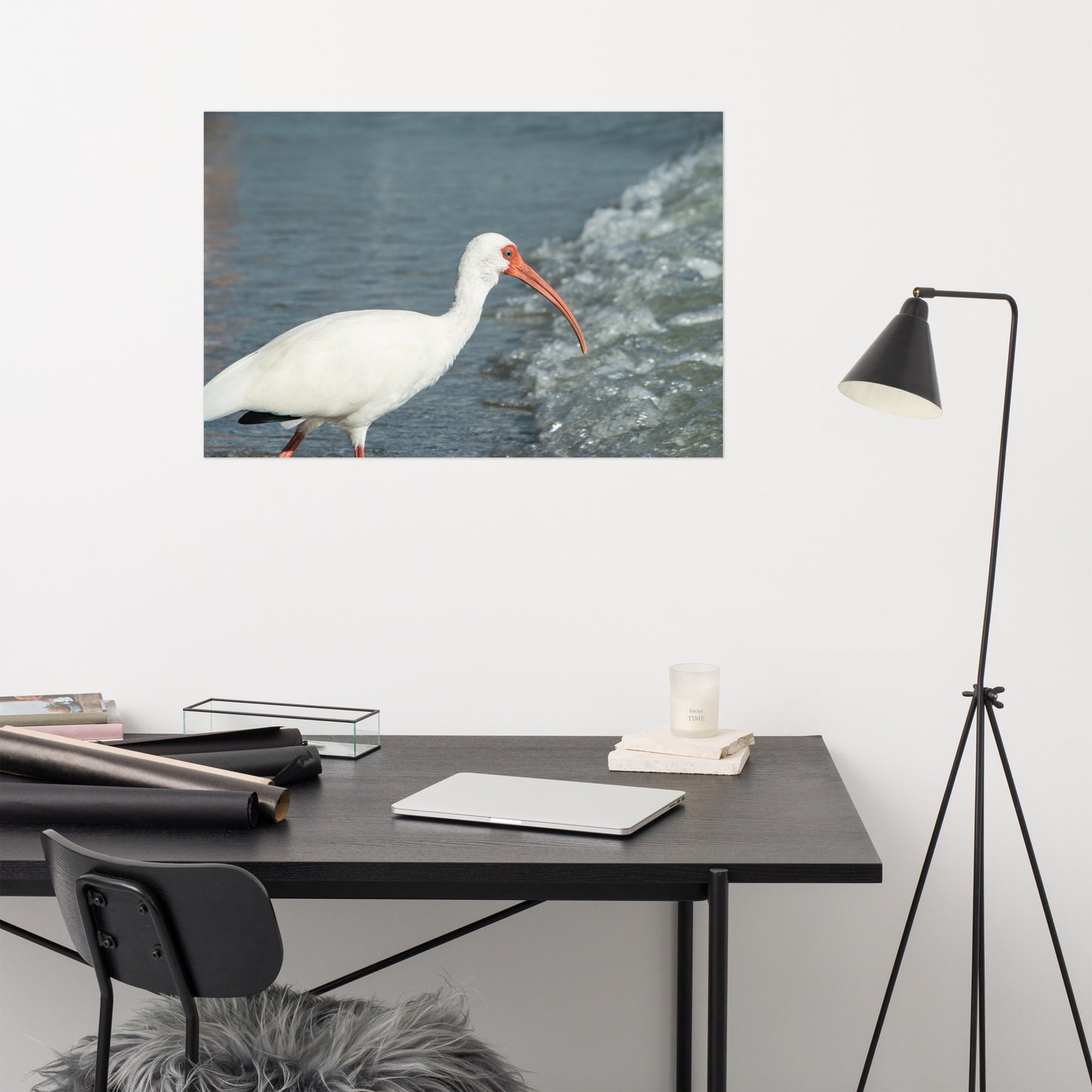 Close Up White Ibis on Beach Wildlife Photo Loose Wall Art Print