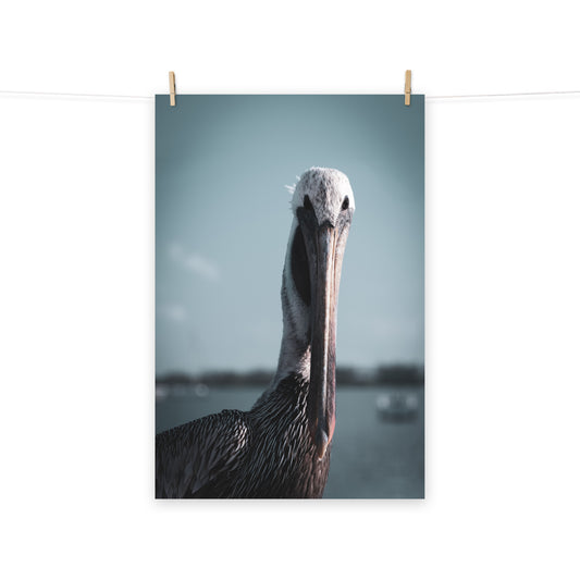 Bob The Pelican Colorized Loose Wall Art Print