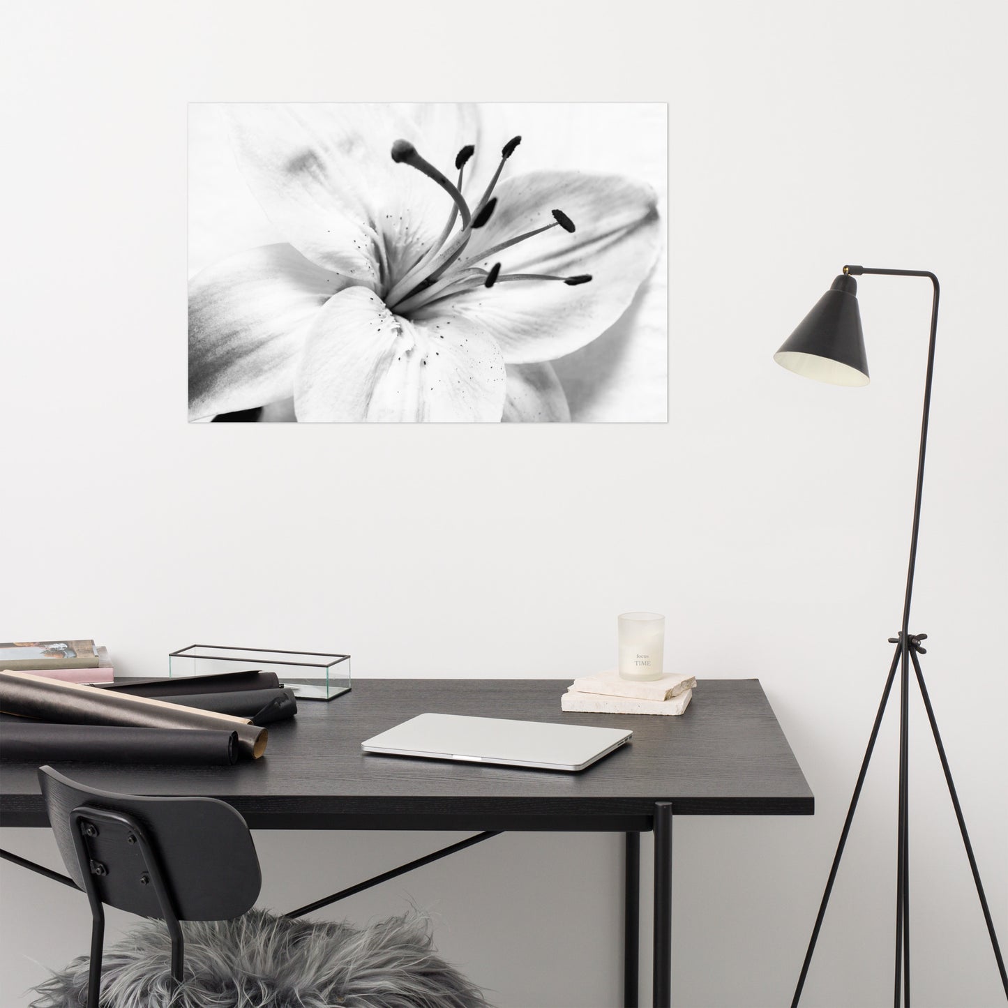 High Key Lily Floral Nature Photo Loose Unframed Wall Art Prints