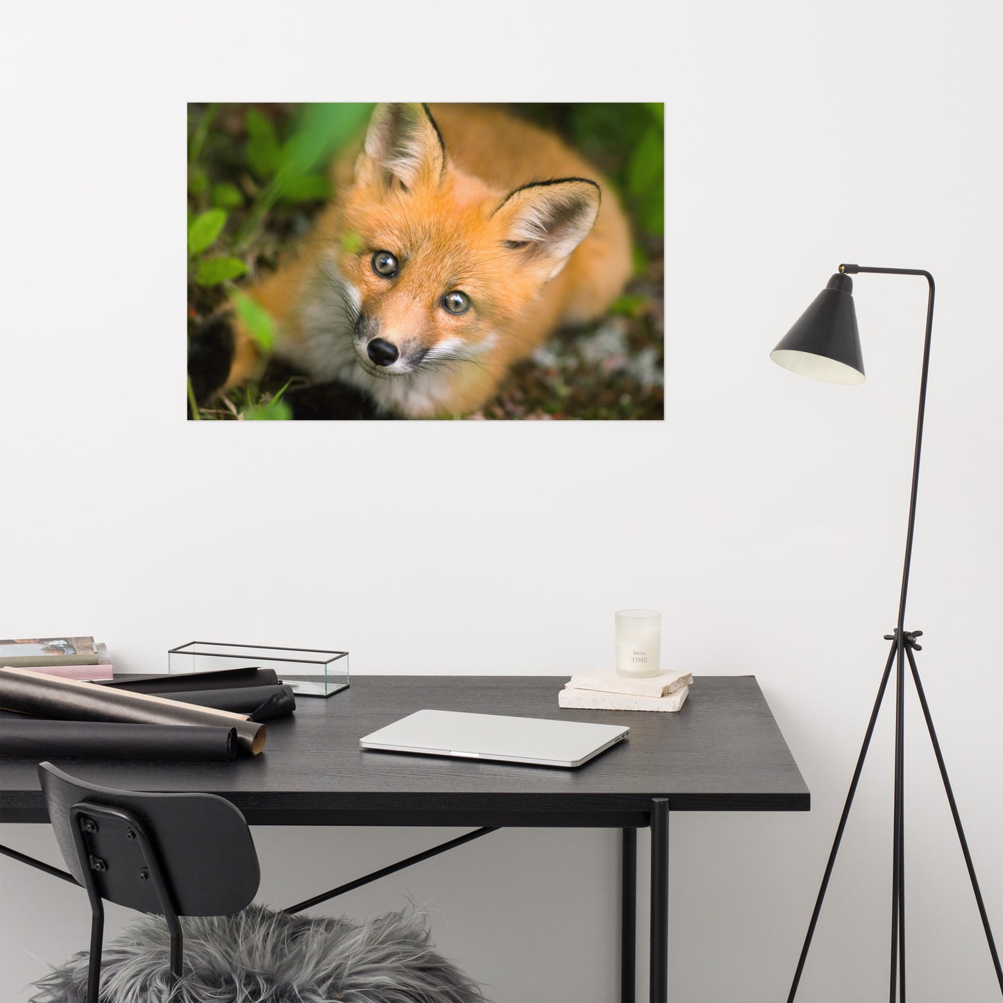 Young Red Fox Face Animal Wildlife Rustic Farmhouse Style Nature Photograph Loose Wall Art Print