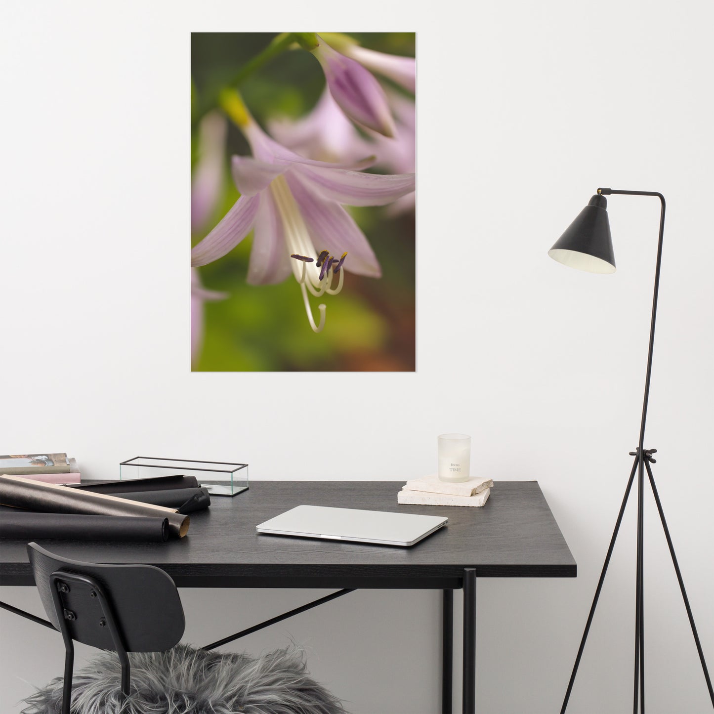 Close-up Hosta Bloom Floral Nature Photo Loose Unframed Wall Art Prints