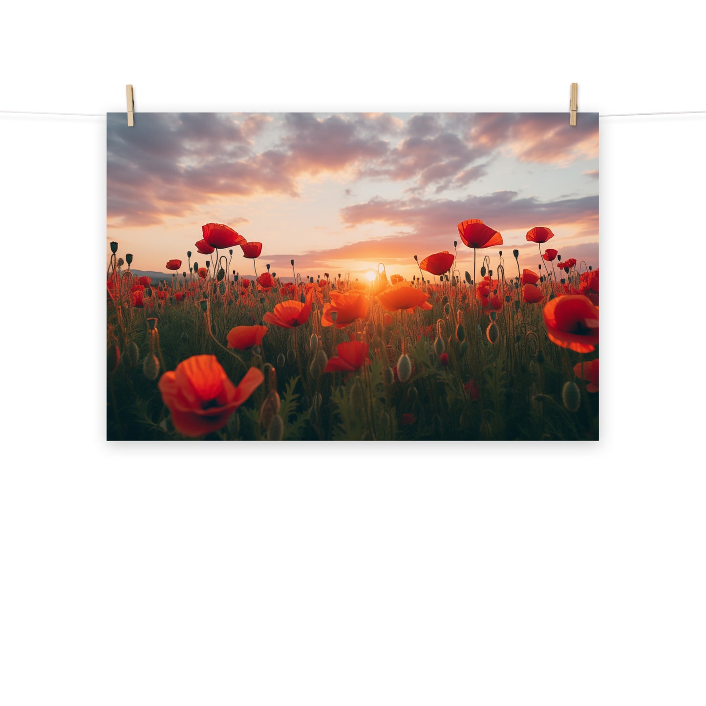 Artwork of Poppies: A Field of Memories Poppy Sunset Photorealism - Digital Artwork Loose Art Print