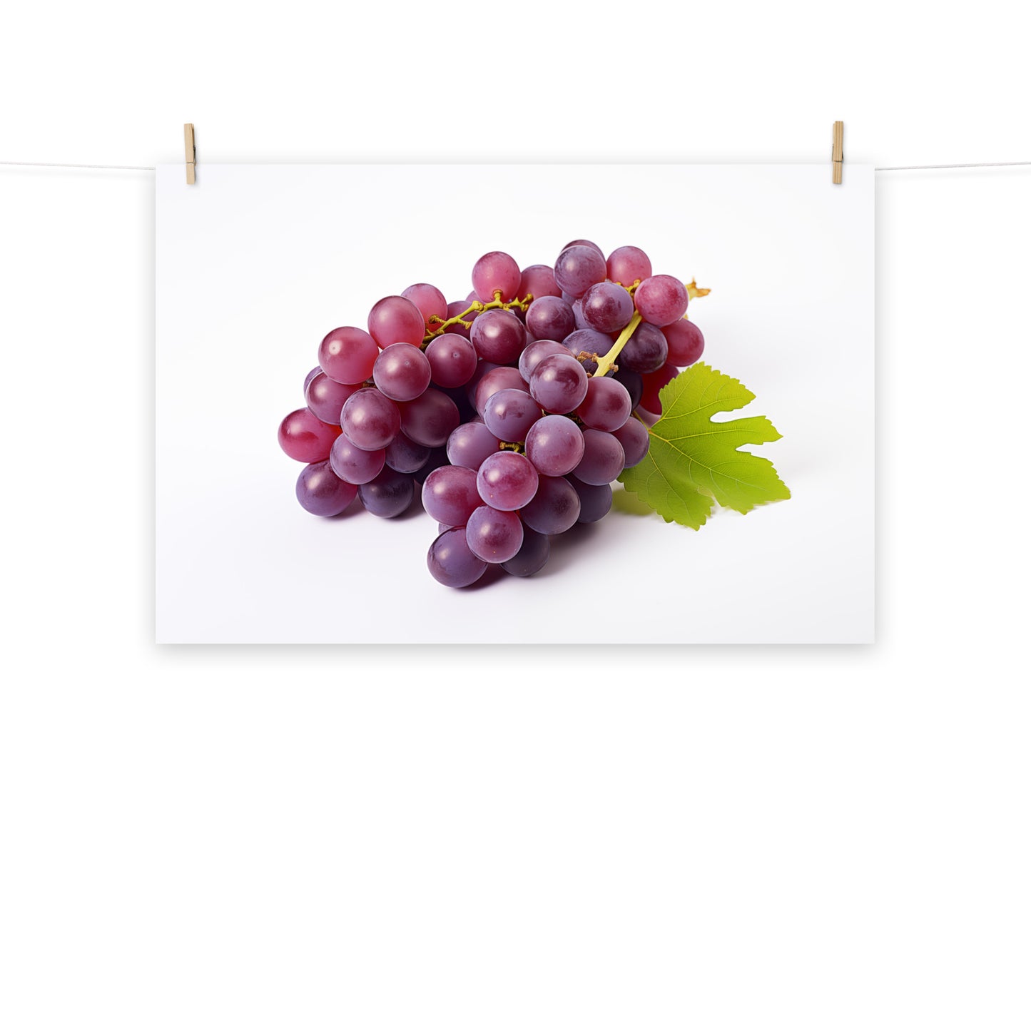 Art with Grapes: Cluster of Delight Purple Grapes on White Photorealism - Digital Artwork Loose Art Print