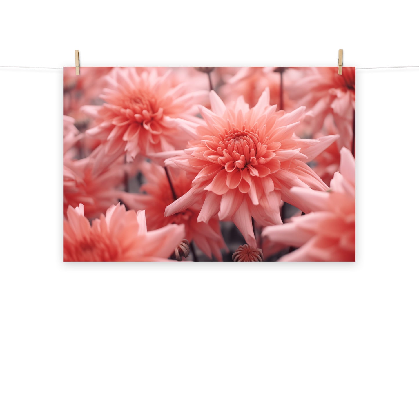 Fire on the Horizon - Dahlia Coral Flowers Photorealism - Digital Artwork Loose Art Print