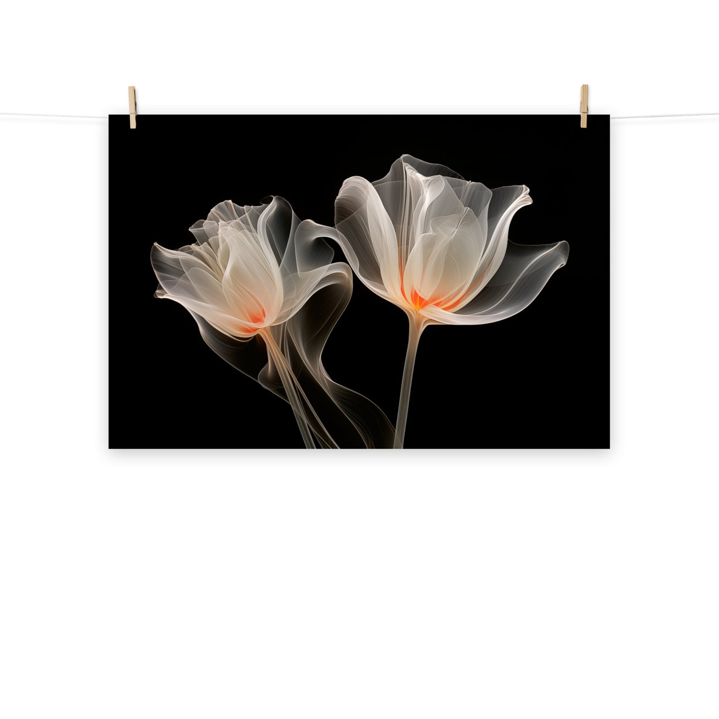 Frosted Petals X-Ray Effect Illustration - Digital Artwork Loose Art Print