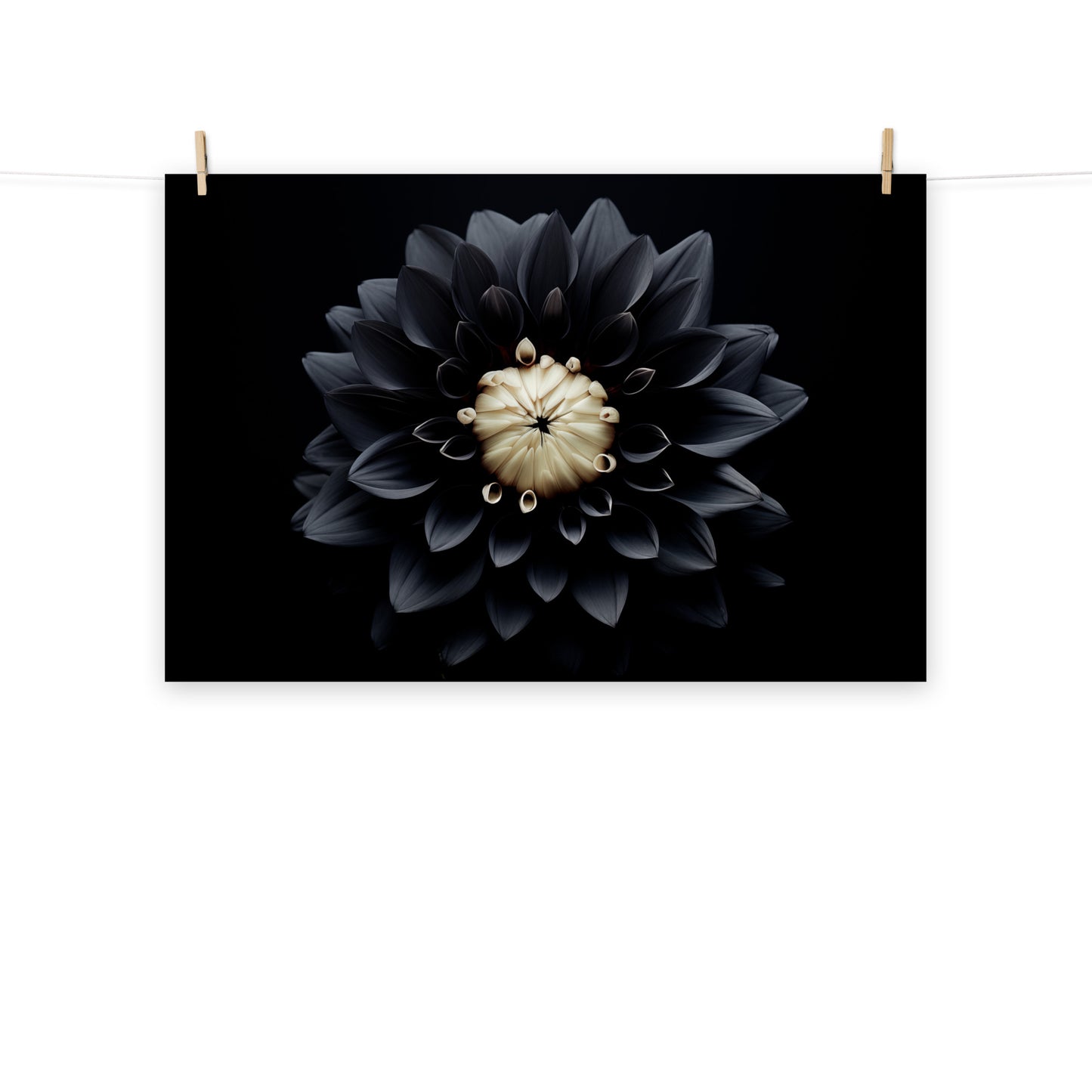 Ink Petals Black Flowers Photorealism - Digital Artwork Loose Art Print