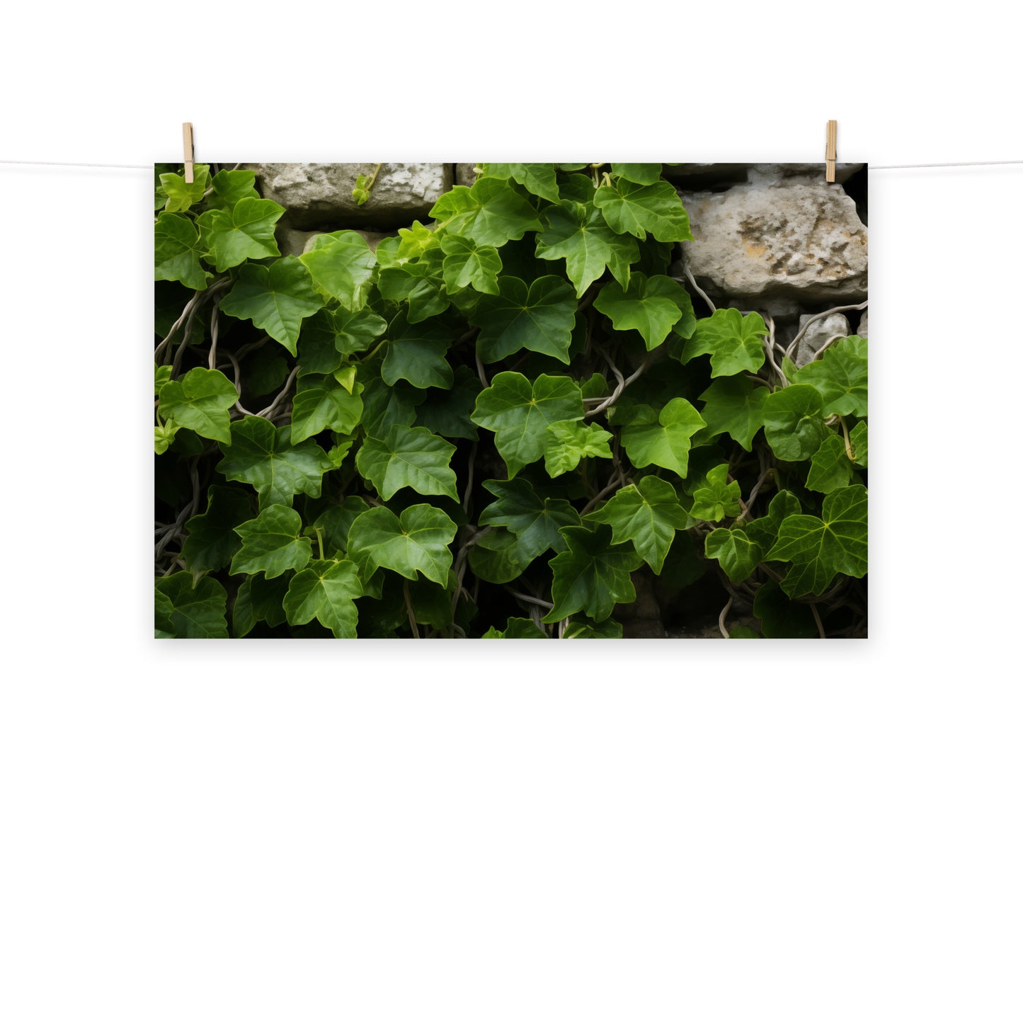 Ivy on Stone Wall Photorealism - Digital Artwork Loose Art Print