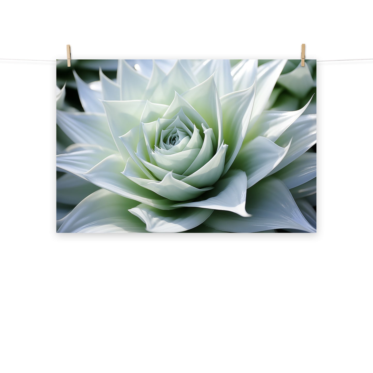 Leaf Lullaby Succulent Photorealism - Digital Artwork Loose Art Print