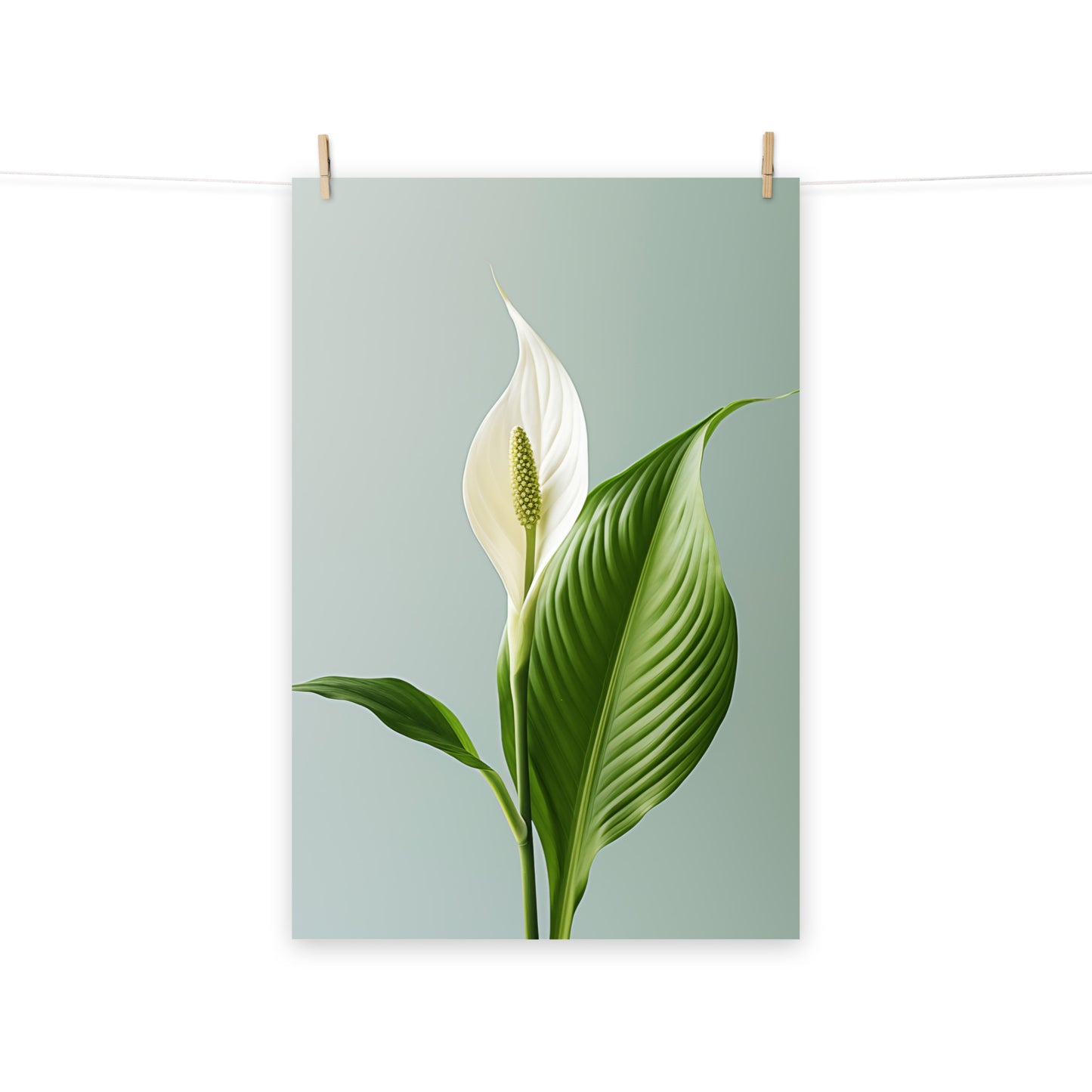 Morning Light Lily Realism Painting Digital Artwork Loose Art Print