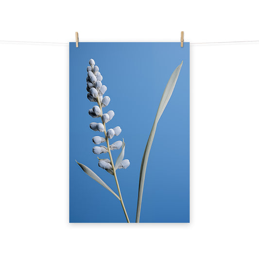 Nature's Masterpiece Blue Flowers Photorealism - Digital Artwork Loose Art Print