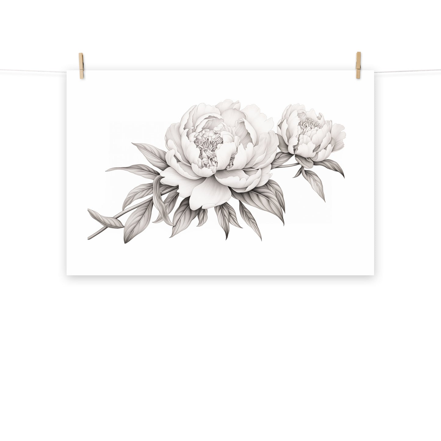 Pencil Petals Pencil Sketch - Digital Artwork Loose Art Print