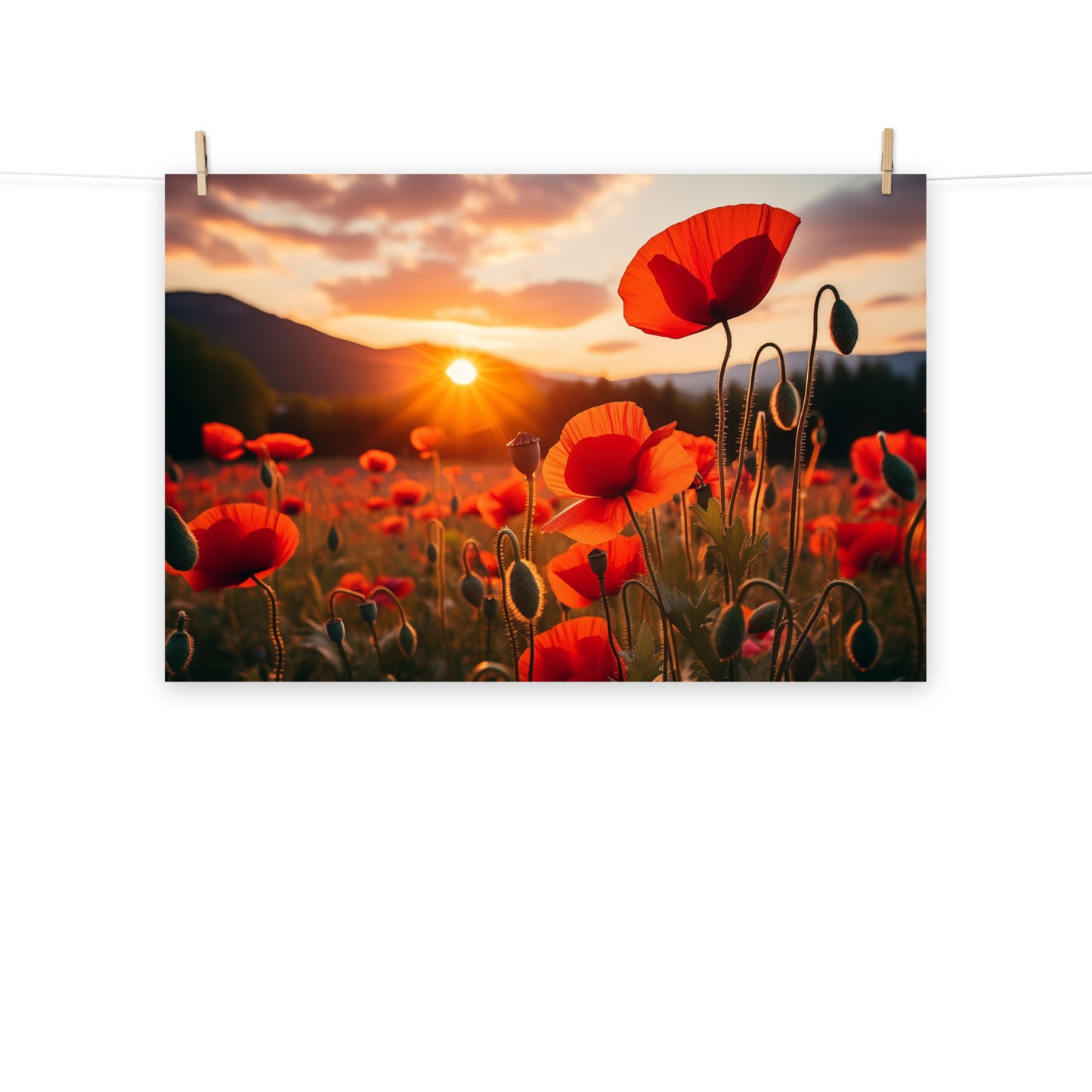 Scarlet Serenade Poppy Field Sunset Photorealism - Digital Artwork Loose Art Print