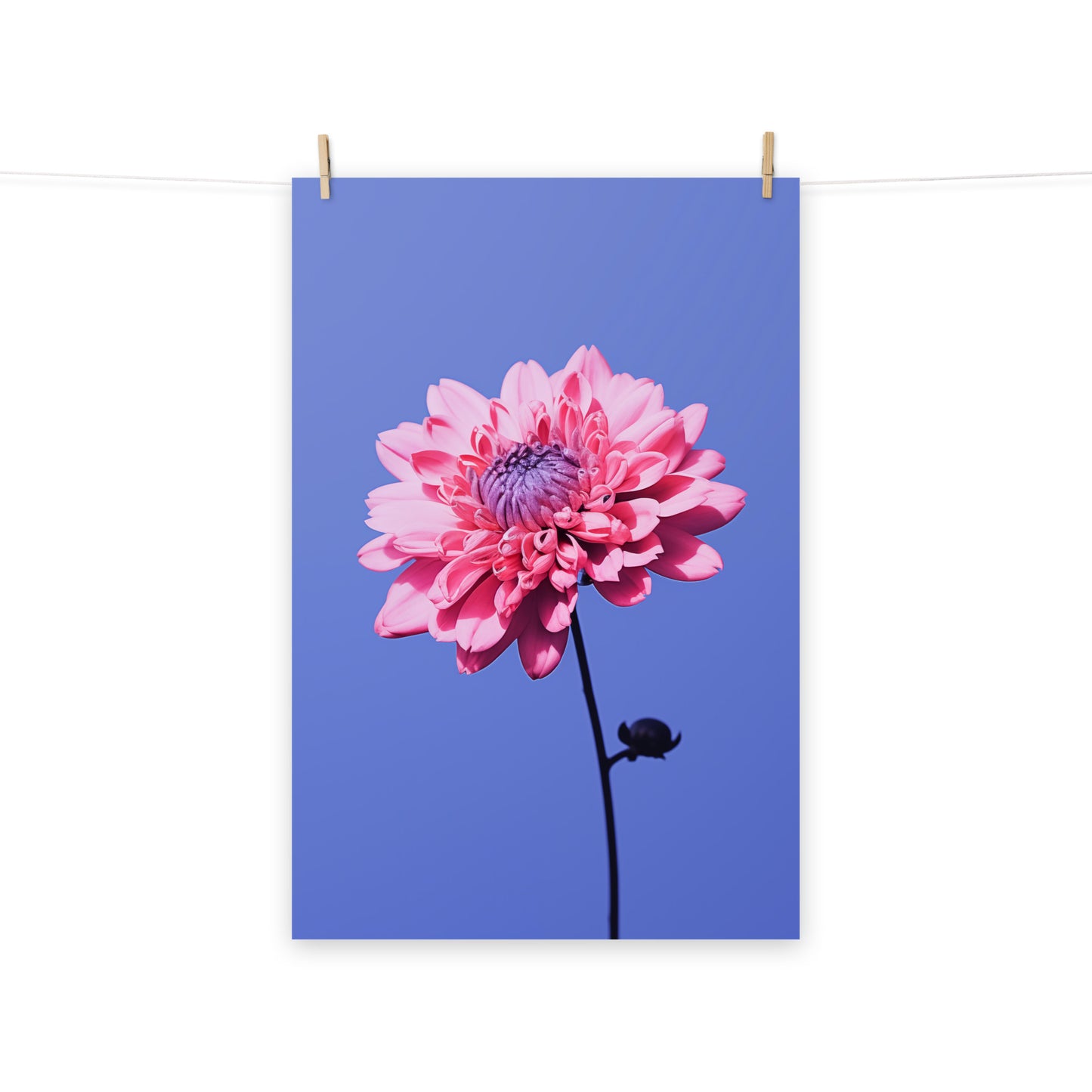 Sky Blossom Flower Photorealistic Painting Digital Artwork Loose Art Print