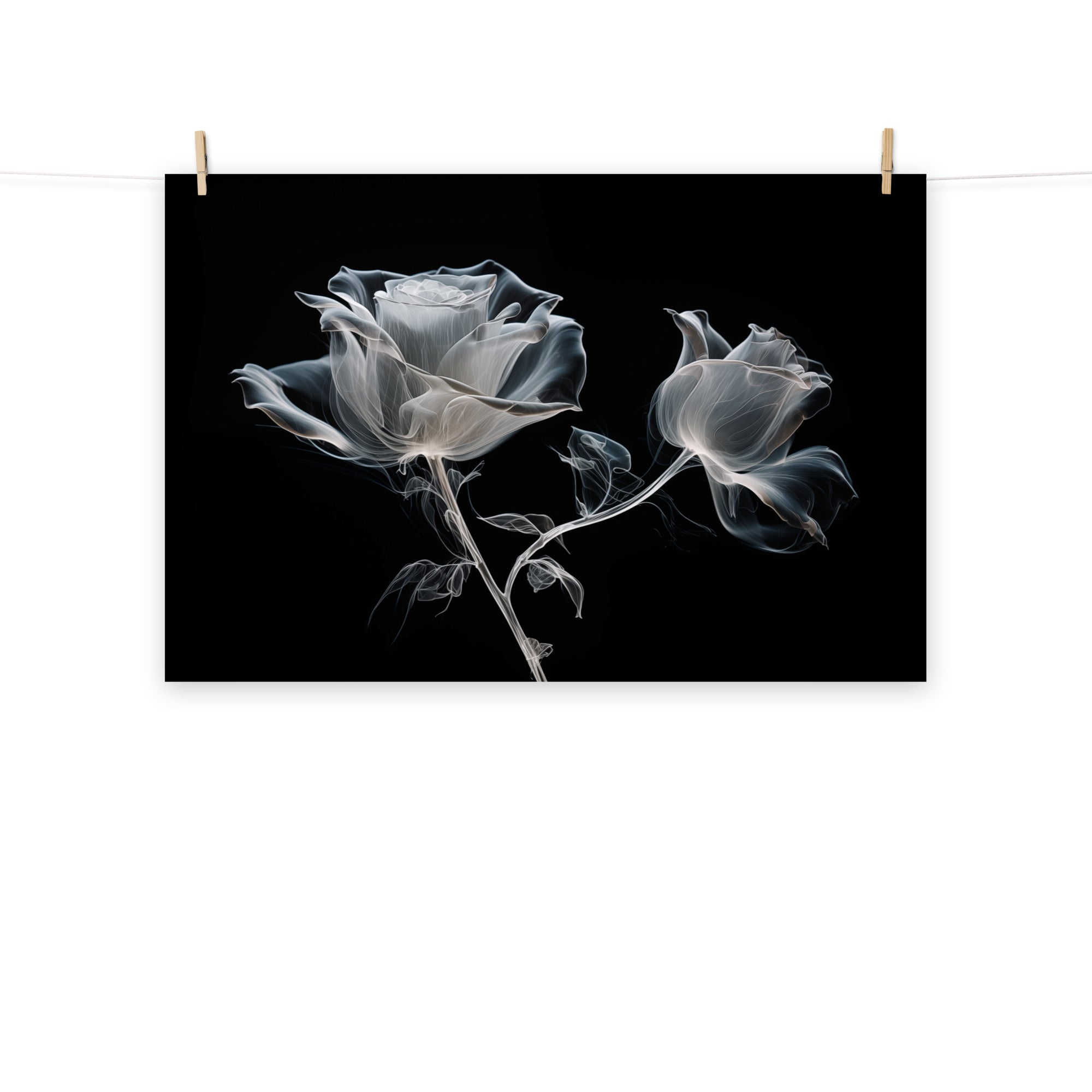 Spectral Roses Pc Spectral Roses X-Ray Effect Illustration - Digital Artwork Loose Art P ...