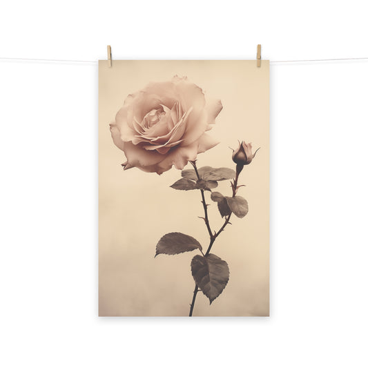 Still Life in Bloom Rose Vintage Retro Subdued Photorealism - Digital Artwork Loose Art Print