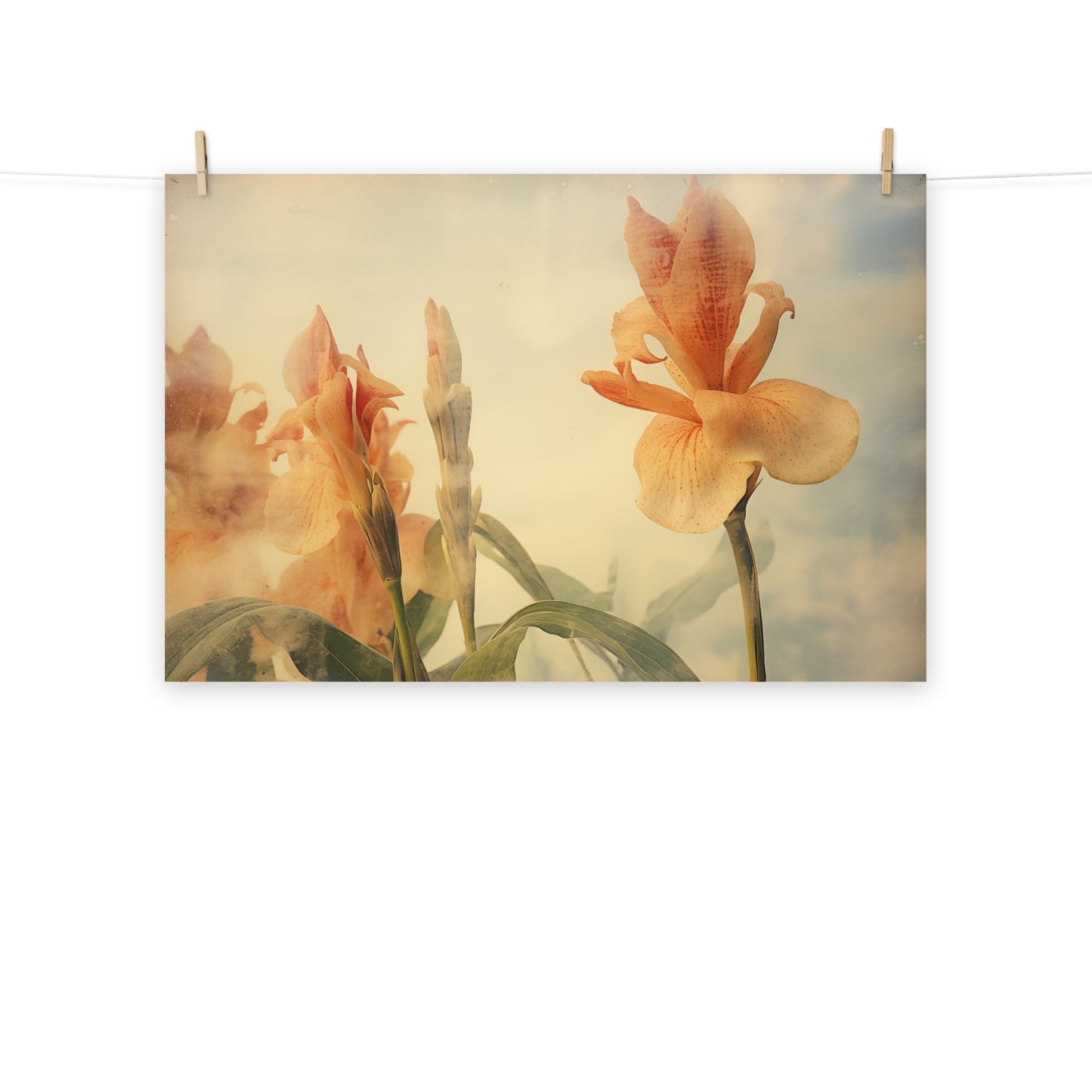 Sunlit Petals Vintage Subdued Photorealism - Digital Artwork Loose Art Print