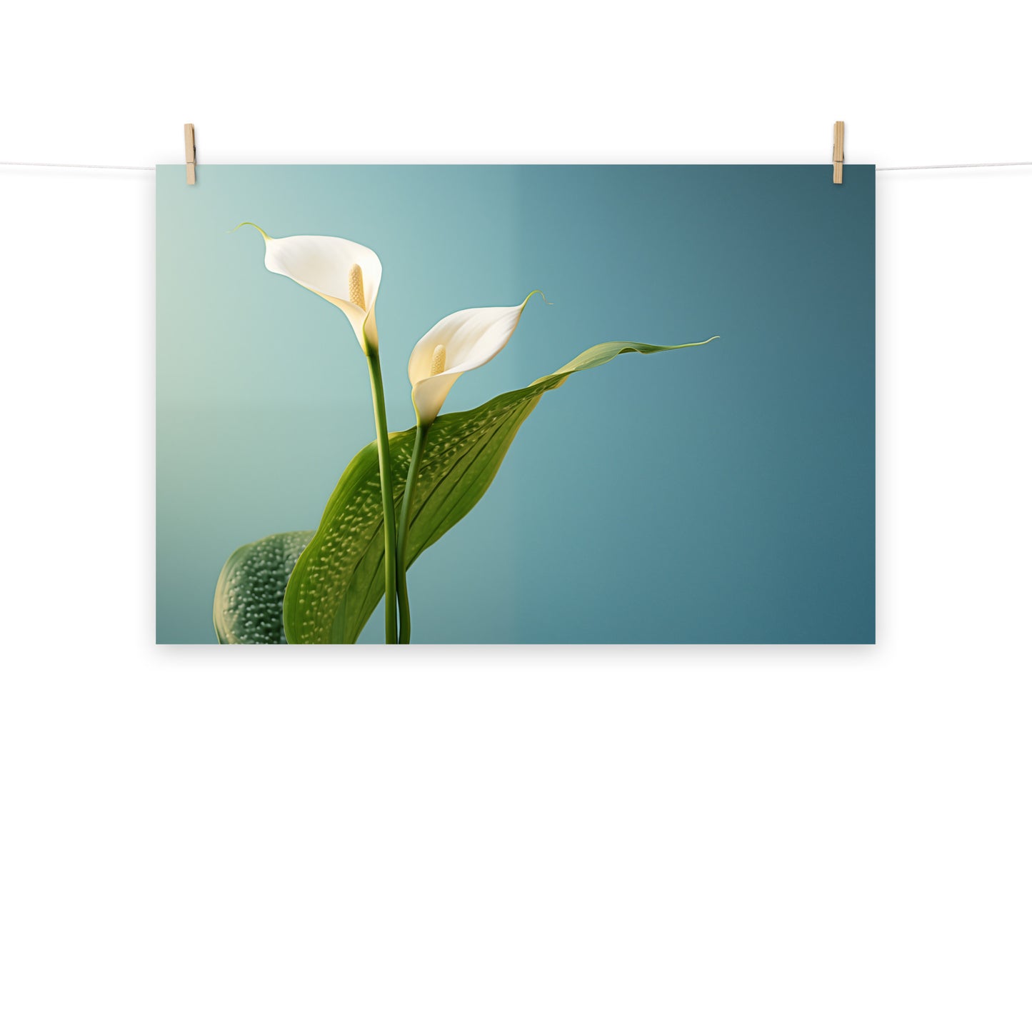 Tranquil Twosome Calla Lily Minimal Photorealism - Digital Artwork Loose Art Print