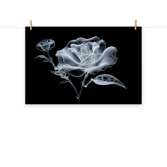 Translucent Rose X-Ray Effect - Digital Artwork Loose Art Print