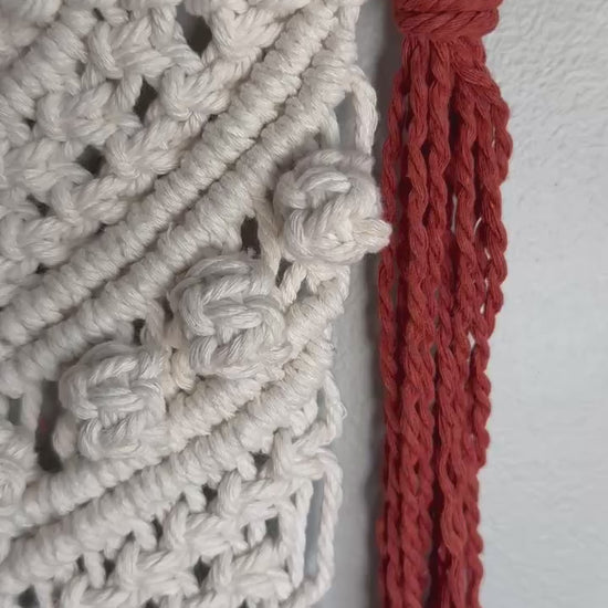 Handcrafted Boho Macrame Wall Hanging – Custom Color Options Video