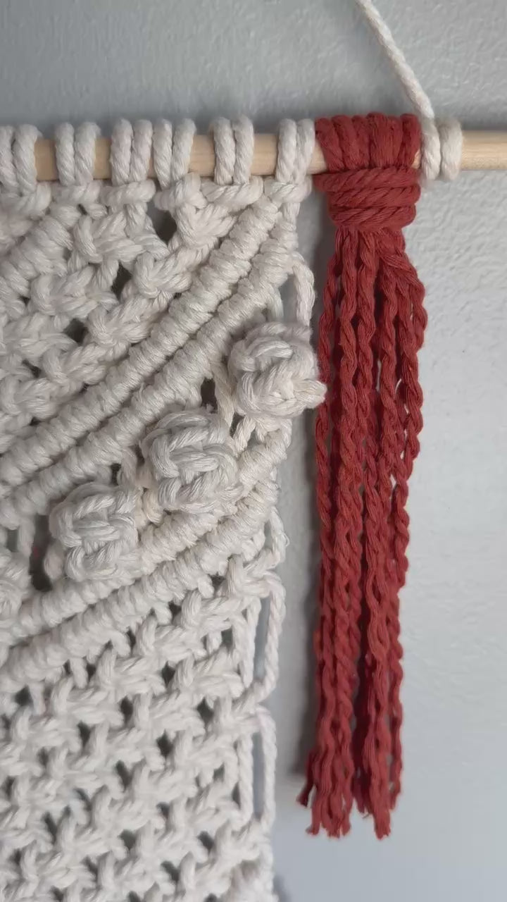 Handcrafted Boho Macrame Wall Hanging – Custom Color Options Video
