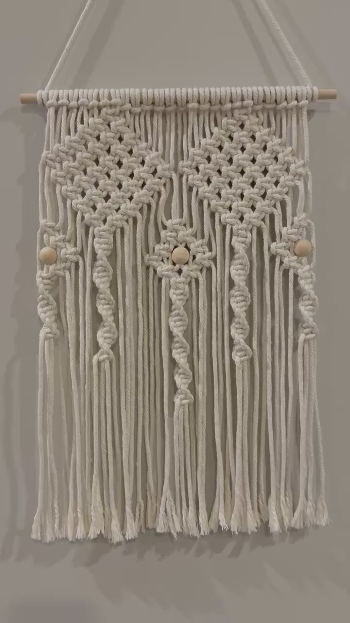 Small Decorative Macrame #22 Video