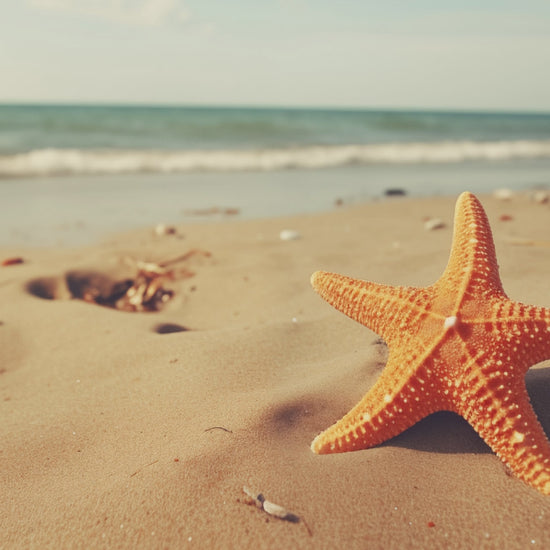 A Moment of Serenity Starfish on Beach Photorealistic Digital Art Canvas Print