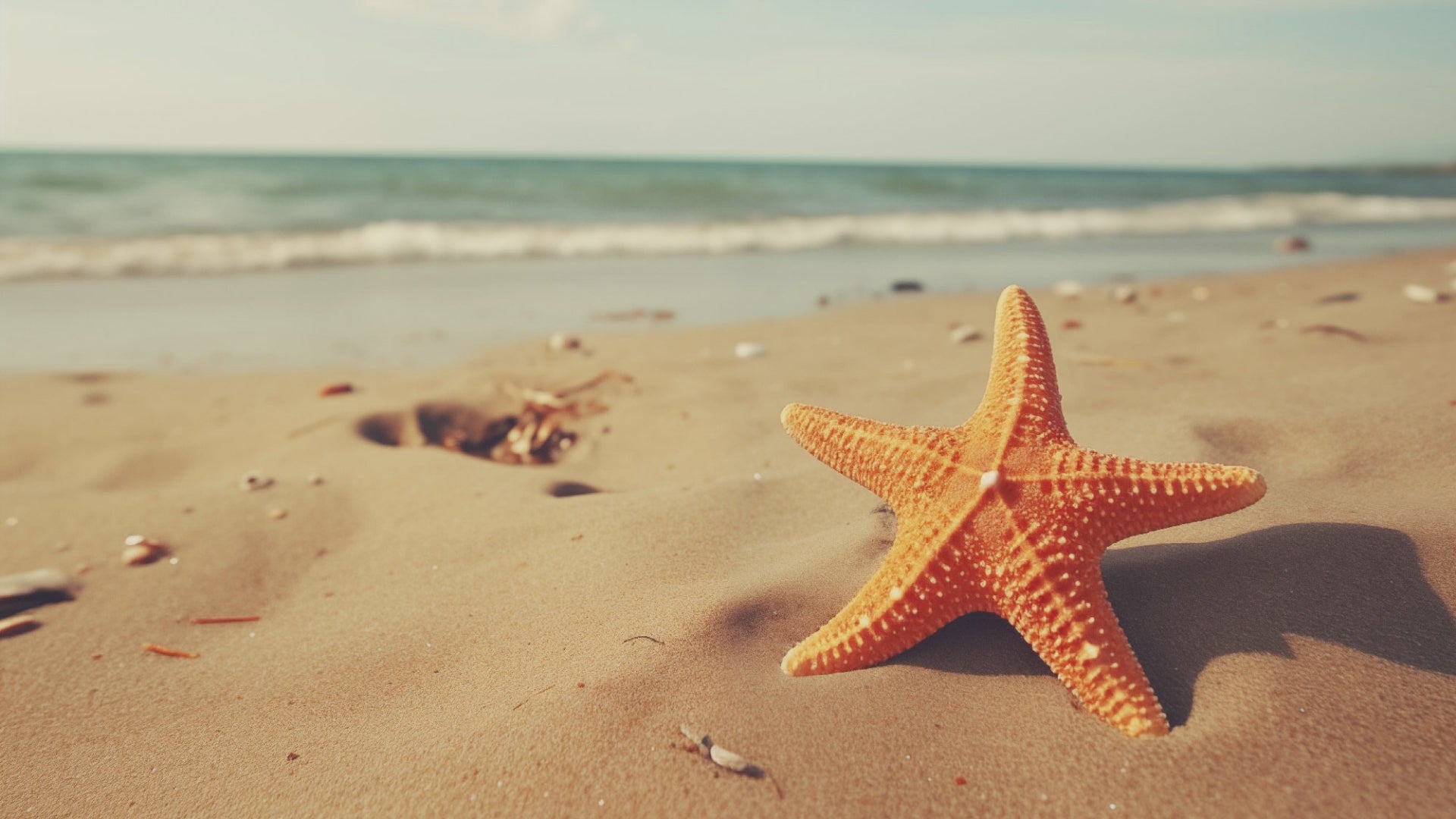 A Moment of Serenity Starfish on Beach Photorealistic Digital Art Canvas Print