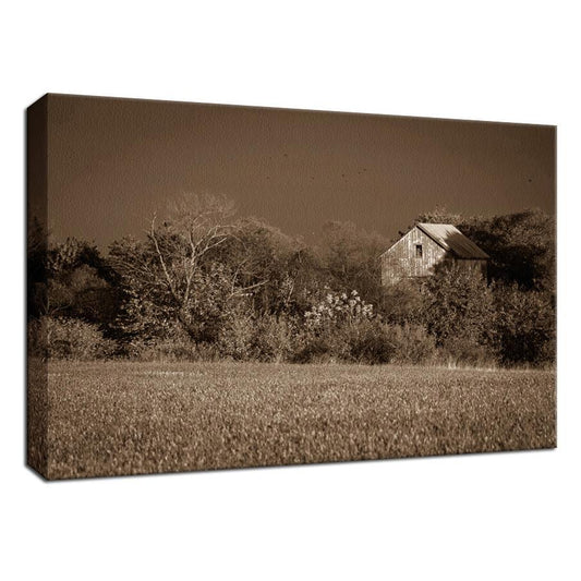 Rustic Art Wall Decor: Abandoned Barn In The Trees Sepia Landscape Fine Art Canvas Wall Art Prints  - PIPAFINEART