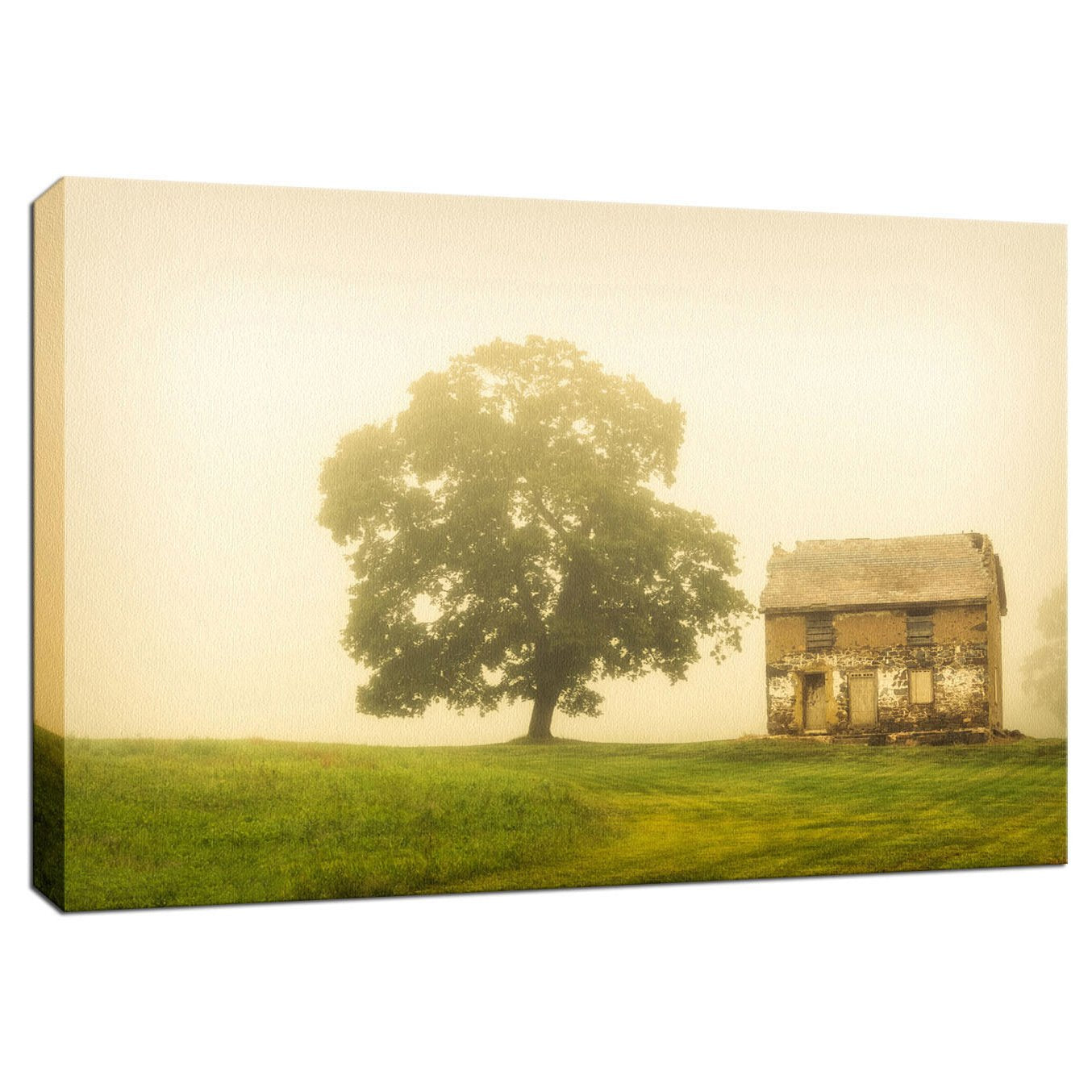 Wall Art Country Scenes: Abandoned House Rural Landscape Photo Fine Art Canvas Wall Art Prints  - PIPAFINEART