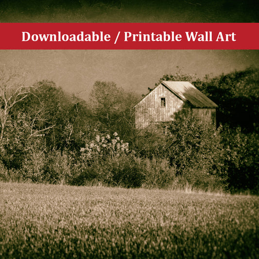 Unique Rustic Wall Art: Abandoned Barn In The Trees Vintage Landscape Photo DIY Wall Decor Instant Download Print - Printable  - PIPAFINEART