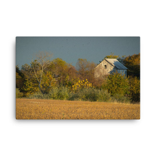 Farmhouse Style Canvas Art: Abandoned Barn In The Trees - Rural / Country Style / Rustic / Landscape / Nature Canvas Wall Art Print - Artwork