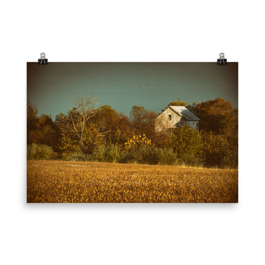 Rustic Farmhouse Prints: Abandoned Barn Colorized - Rural / Country Style Landscape / Nature Loose / Unframed Wall Art Print - Artwork
