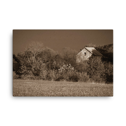 Farmhouse Style Wall Art: Country Farmhouse Wall Decor: Abandoned Barn in The Trees Sepia - Rural / Rustic / Country Style / Landscape / Nature Canvas Wall Art Print - Artwork